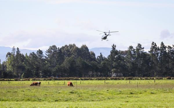 A hedge fire near Rangiora knocked out power to more than 100 homes in North Canterbury this afternoon.