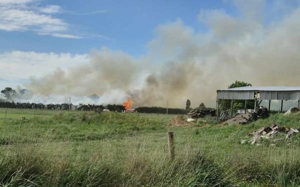The hedge fire near Rangiora that cut power to dozens of homes in the area.