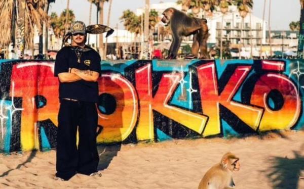 Rokkō went to Los Angeles to build a relatio<em></em>nship with a record label. Rokkō says he likes monkeys, but the o<em></em>nes in this picture aren't real.