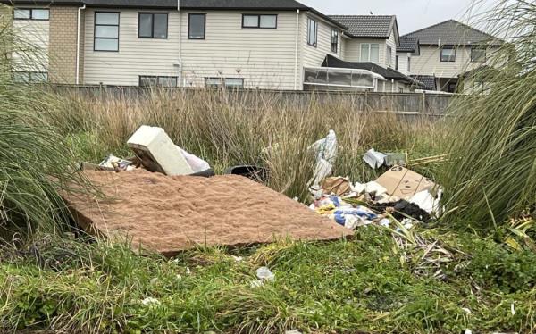 Some of the illegal rubbish dumped on empty lots that co<em></em>ntinues to persist in the community