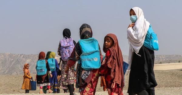 联合国妇女署负责人警告称，政治上的厌女症会引发更多冲突