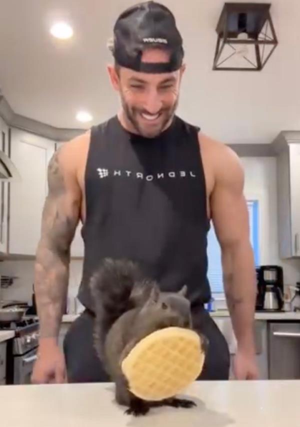Peanut holding a waffle. 