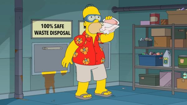 Homer Simpson