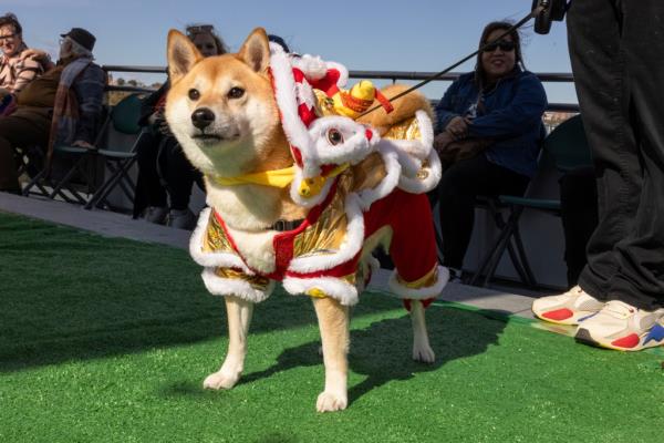 Passengers danced to tail-wagging tunes during their time on the water. 