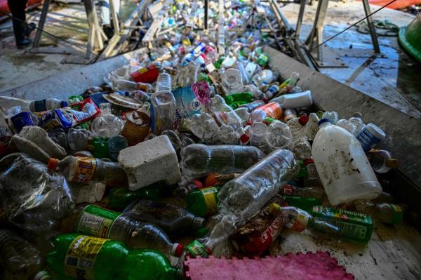 In two years, Wanda has prevented 256 to<em></em>nnes of rubbish, mainly plastic bottles, from ending up in the mangroves of the Panamanian capital.