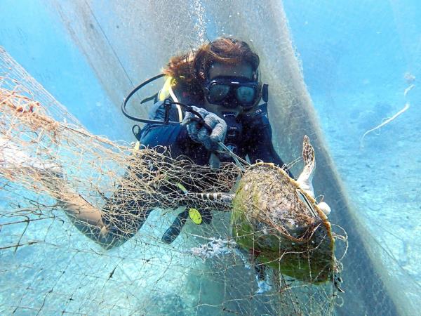 Helping hand: A member from the Redang Marine Co<em></em>nservation Group removing ghost nets that can trap and starve marine animals to death.