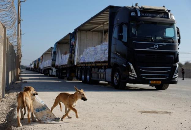 A co<em></em>nvoy of trucks filled with white bags drives on a dirt road. Two dogs are in the foreground. 