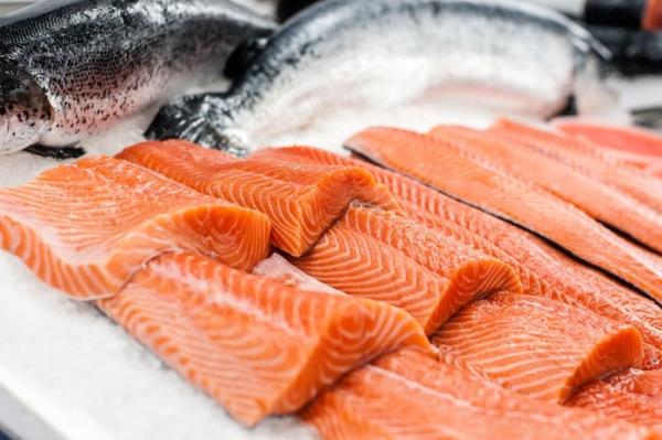 salmon on ice