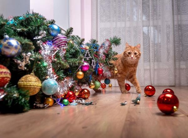 A cat standing next to a knocked over a Christmas tree