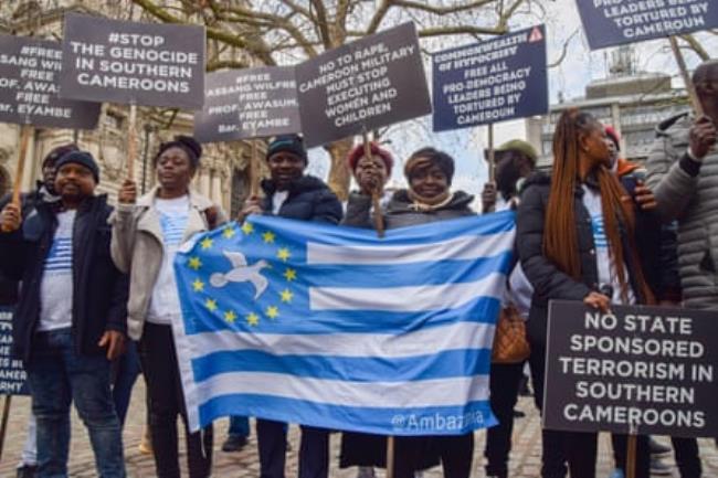 A line of people hold a blue and white-striped flag with a circle of stars surrounding a dove and placards with slogans including ‘No state spo<em></em>nsored terrorism in Southern Cameroons’ and ‘#Stop the genocide in Southern Cameroons’.