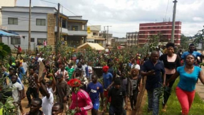 A large group of people fill a street many carrying leafy branches and some with placards.