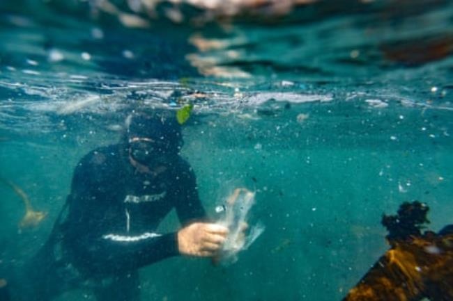 Millions of pieces of plastic, micro plastics and debris have entered the ocean – seen here during the Big Ocean Clean Up in Hermanus, South Africa, a few years ago.