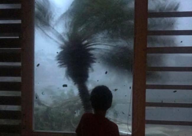 A boy looks out of a window as a palm tree is blown around amid flying debris. The sky is darkened