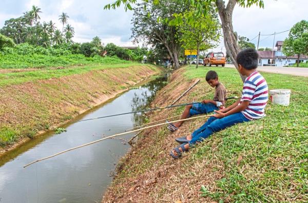 Fishing with a simple bamboo rod and line by the water canal for small fish like sepat or betok can be fun.