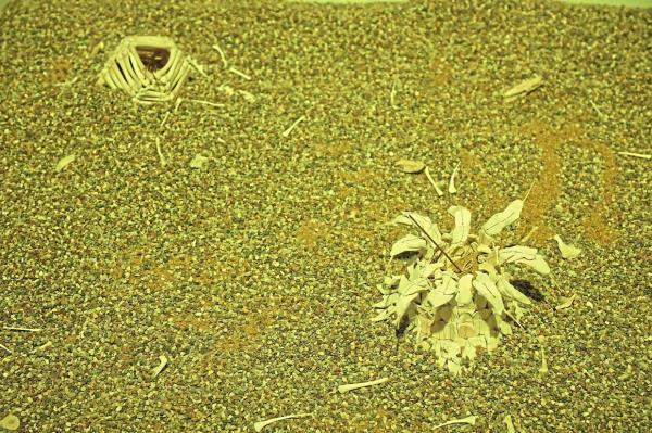 Curator Edrian wanted to evoke a ritualistic atmosphere, with chicken bone compositions becoming smaller and more intricate. Photo: The Star/Yap Chee Hong