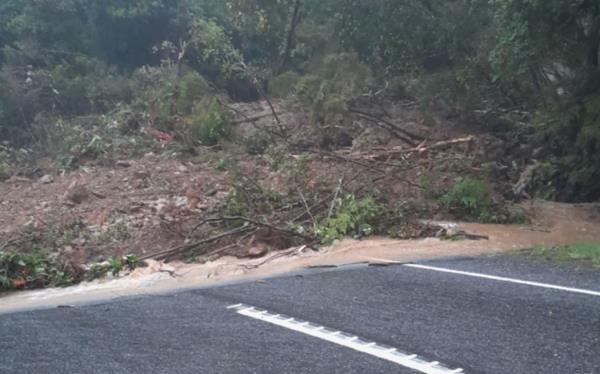 Trees and debris on the SH6 route in the Fox Hills, south of Franz Josef, after heavy rains, on 9 November, 2024.
