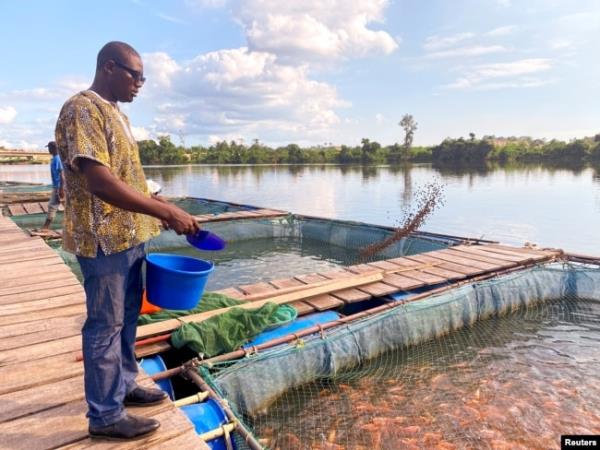 FILE - Boris Youdom Kamgo, 32, a fish farmer and founder of Agro Worl Goup (AWG) feeds fish in his fish farming pond on the Dibamba river, near Douala, Cameroon, June 24, 2021.