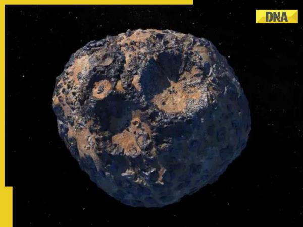 这颗小行星可以让地球上的每个人都成为亿万富翁，它的价值是……