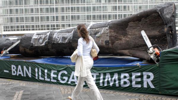 EU pushes back deforestation law by a year after outcry from global producers