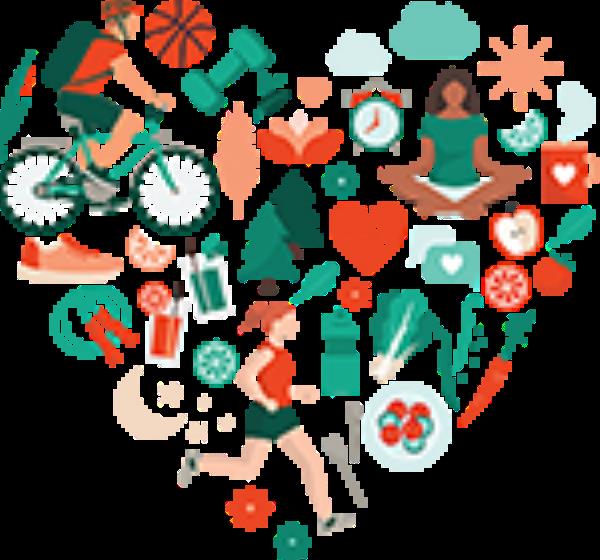 Working Life: The Mercy aims to provide excellent patient services