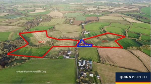 40-acre farm in heart of Wexford goes under the o<em></em>nline hammer
