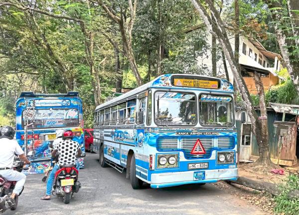Kandy’s blue buses add a pop of colour to the city’s busy roads.