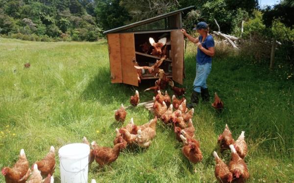 Ellis Creek Farm