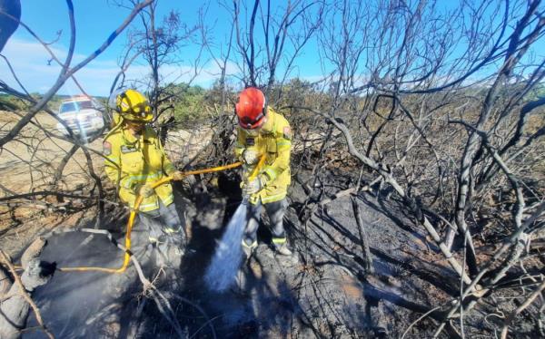 Canterbury firefighters dampen down hotspots following a blaze in Kirwee.
