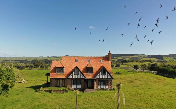 An abando<em></em>ned mock Tudor-style house sits in a large field surrounded by two palm trees with a flock of pigeons flying overhead.