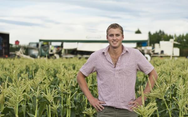 Gisborne grower Gordon McPhail.