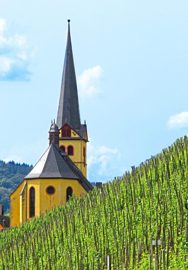 The Zeltingen precinct has a long history of wine-making.