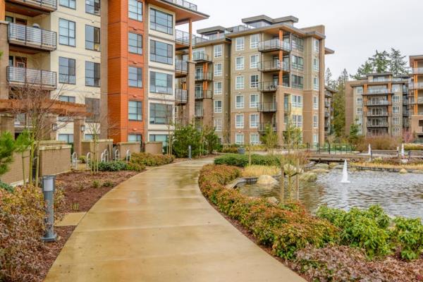 Many modern apartment buildings sharing the same space