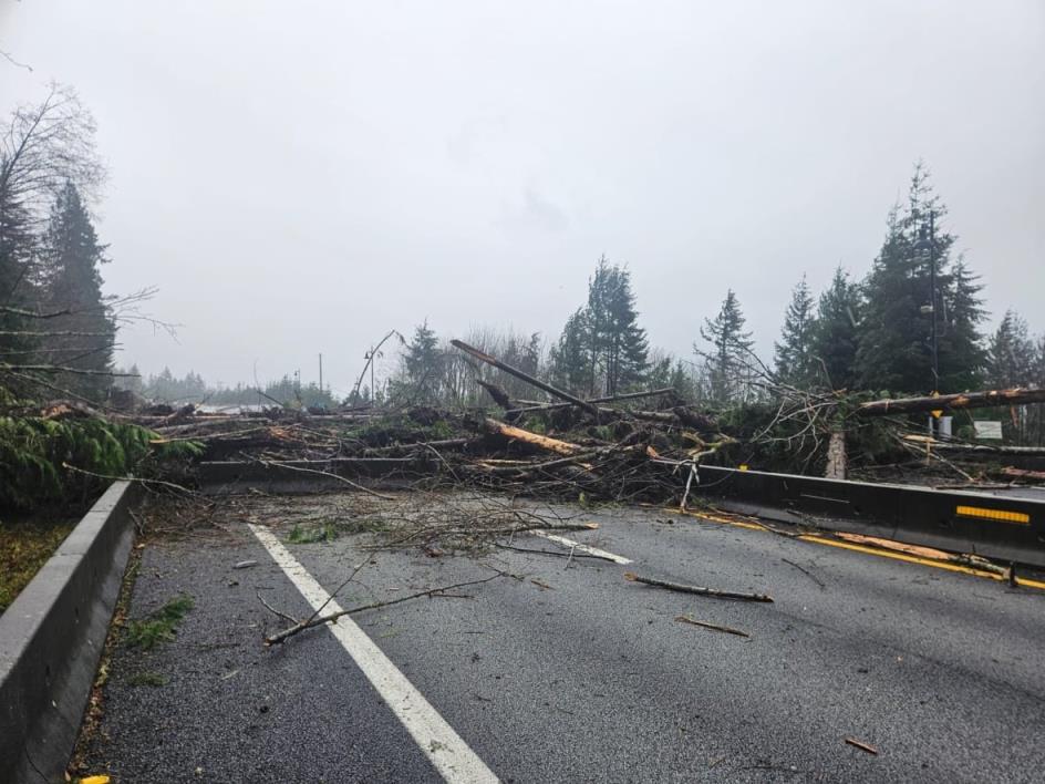 Trees and debris are seen across a major highway.