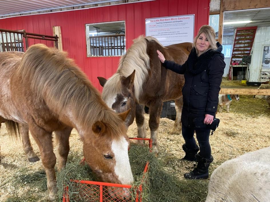 Danae Tonge, of Manitoba Animal Save, with two rescued horses. To<em></em>nge says their lives are a direct co<em></em>ntrast to those of horses bred for the purpose of live export to Japan, wher<em></em>e they are fattened and slaughtered to become raw horse meat sushi for a wealthy niche market.
