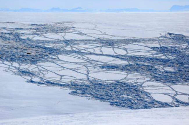 Animal tracks in a vast snowy landscape