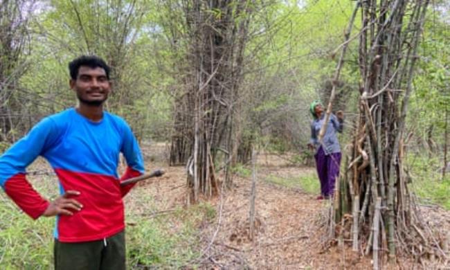 A young Indian man and a woman standing among thickets of bamboo