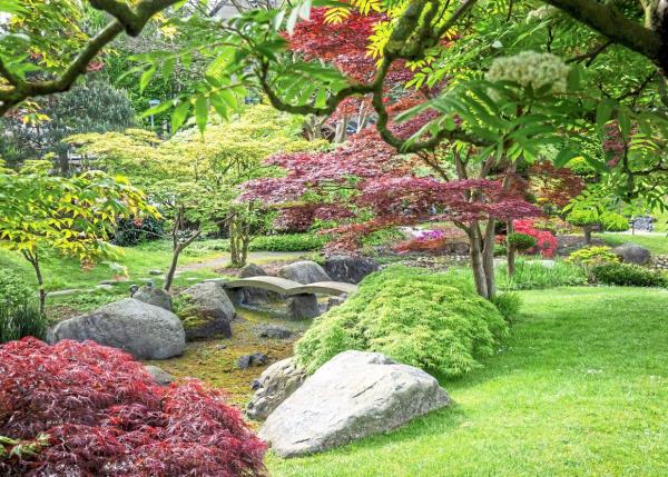 One of the Japanese-style gardens around the Eko House in Dusseldorf. — Photos: ANDREAS DROUVE/dpa