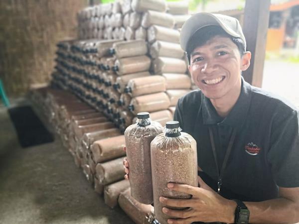 Puput explains that the growth media co<em></em>nsists of compacted sawdust, agricultural chalk, and finely ground poultry feed, which have been moistened sufficiently with boiled tap water. 