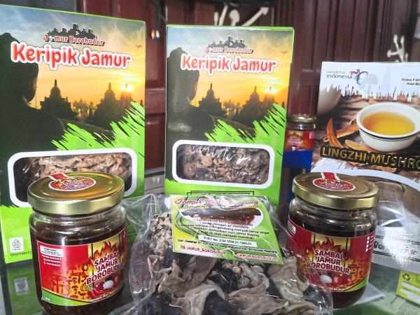Product innovation helps ensure a bright future for Magelang’s mushroom industry. 