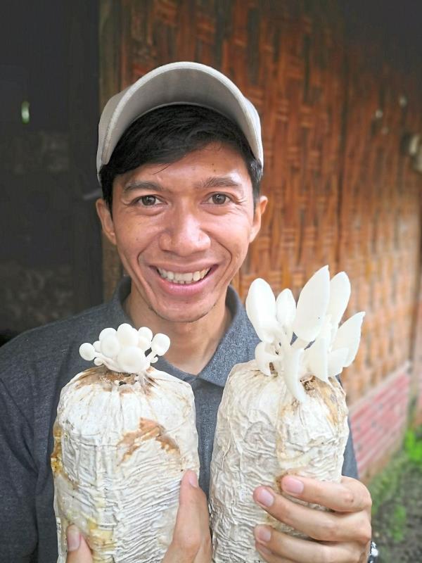The enterprising Puput began his mushroom venture some twelve years ago and now it has turned into Jamur Borobudur, a thriving mushroom-centric business in Indonesia.